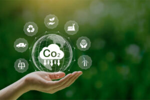 Programa de Cálculo de Huella de Carbono